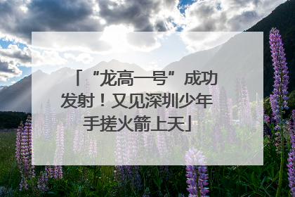 “龙高一号”成功发射！又见深圳少年手搓火箭上天