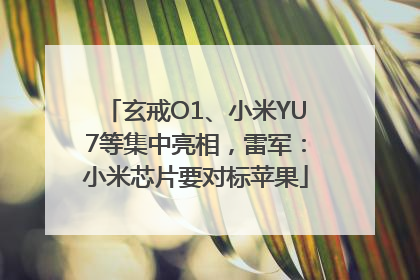 玄戒O1、小米YU7等集中亮相，雷军：小米芯片要对标苹果