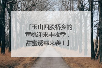玉山四股桥乡的黄桃迎来丰收季，甜蜜诱惑来袭！