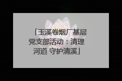 玉溪卷烟厂基层党支部活动：清理河道 守护清溪