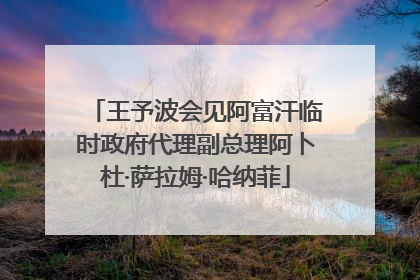 王予波会见阿富汗临时政府代理副总理阿卜杜·萨拉姆·哈纳菲
