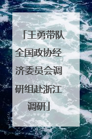 王勇带队全国政协经济委员会调研组赴浙江调研