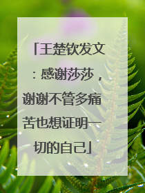 王楚钦发文：感谢莎莎，谢谢不管多痛苦也想证明一切的自己