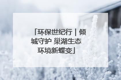 环保世纪行｜倾城守护 巢湖生态环境新蝶变
