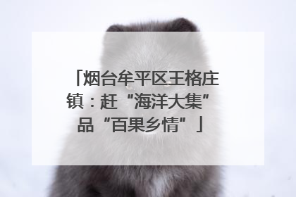烟台牟平区王格庄镇：赶“海洋大集” 品“百果乡情”