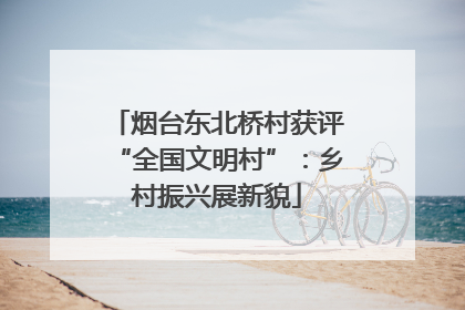 烟台东北桥村获评“全国文明村”：乡村振兴展新貌