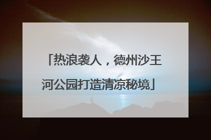 热浪袭人，德州沙王河公园打造清凉秘境
