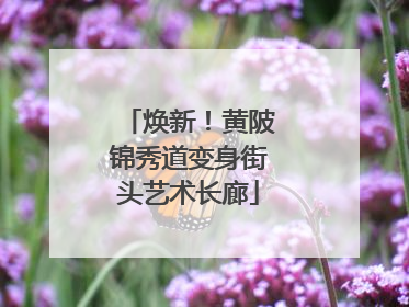 焕新！黄陂锦秀道变身街头艺术长廊