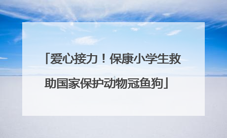 爱心接力！保康小学生救助国家保护动物冠鱼狗