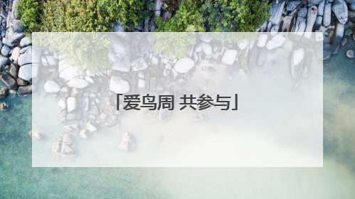 爱鸟周 共参与