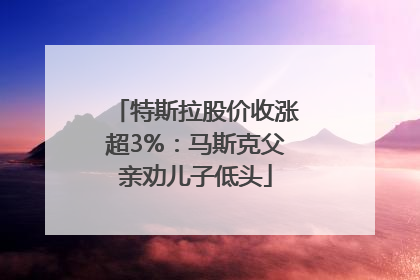 特斯拉股价收涨超3%：马斯克父亲劝儿子低头