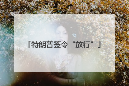 特朗普签令“放行”