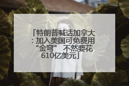 特朗普喊话加拿大：加入美国可免费用“金穹” 不然要花610亿美元
