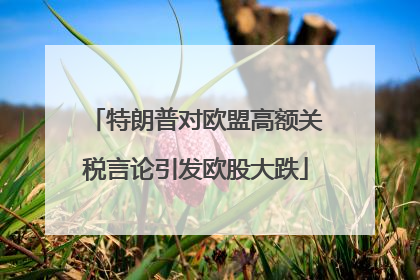 特朗普对欧盟高额关税言论引发欧股大跌