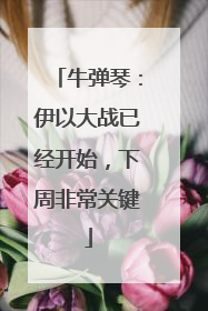 牛弹琴：伊以大战已经开始，下周非常关键