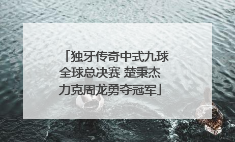 独牙传奇中式九球全球总决赛 楚秉杰力克周龙勇夺冠军