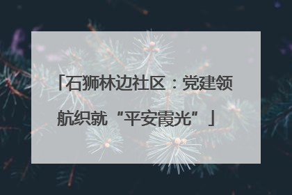 石狮林边社区：党建领航织就“平安霞光”
