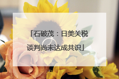 石破茂：日美关税谈判尚未达成共识