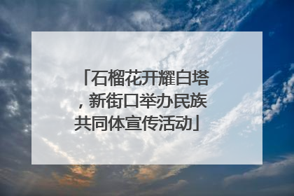 石榴花开耀白塔，新街口举办民族共同体宣传活动