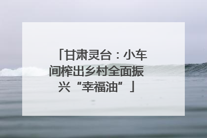 甘肃灵台：小车间榨出乡村全面振兴“幸福油”