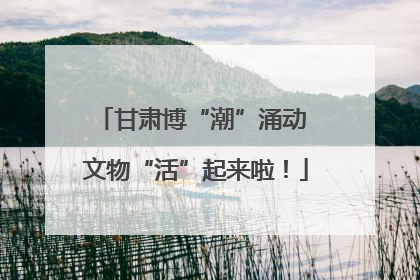 甘肃博“潮”涌动 文物“活”起来啦！