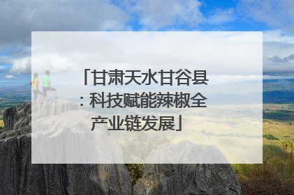 甘肃天水甘谷县：科技赋能辣椒全产业链发展