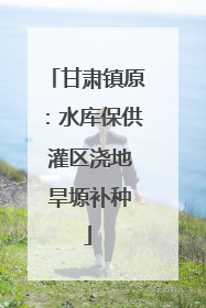 甘肃镇原：水库保供 灌区浇地 旱塬补种