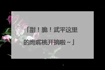 甜！脆！武平这里的鹰嘴桃开摘啦～