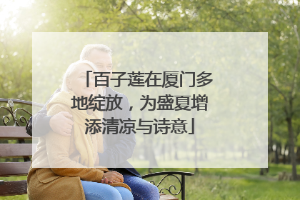 百子莲在厦门多地绽放，为盛夏增添清凉与诗意