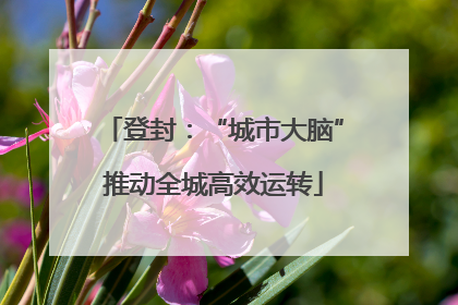 登封：“城市大脑”推动全城高效运转