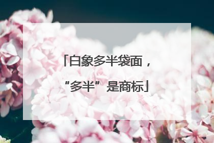 白象多半袋面，“多半”是商标