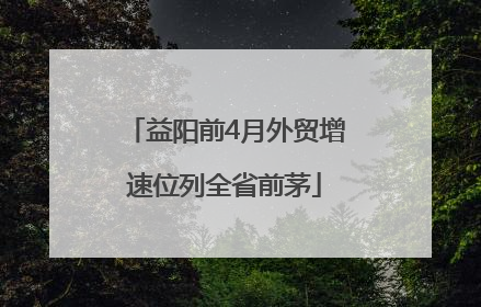 益阳前4月外贸增速位列全省前茅