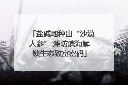 盐碱地种出“沙漠人参” 潍坊滨海解锁生态致富密码
