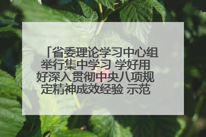 省委理论学习中心组举行集中学习 学好用好深入贯彻中央八项规定精神成效经验 示范带头持续推动全省学习教育走深走实