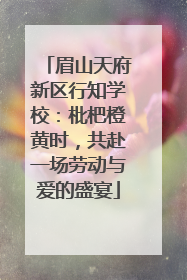 眉山天府新区行知学校：枇杷橙黄时，共赴一场劳动与爱的盛宴
