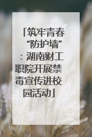 筑牢青春“防护墙”：湖南财工职院开展禁毒宣传进校园活动