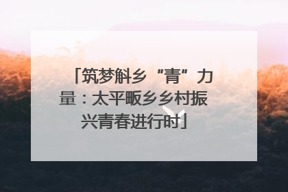 筑梦斛乡“青”力量：太平畈乡乡村振兴青春进行时