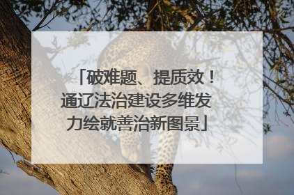 破难题、提质效！通辽法治建设多维发力绘就善治新图景