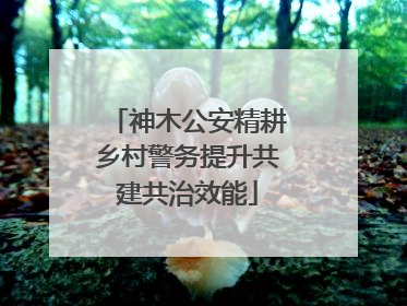 神木公安精耕乡村警务提升共建共治效能