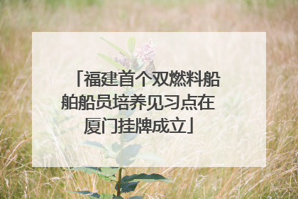 福建首个双燃料船舶船员培养见习点在厦门挂牌成立