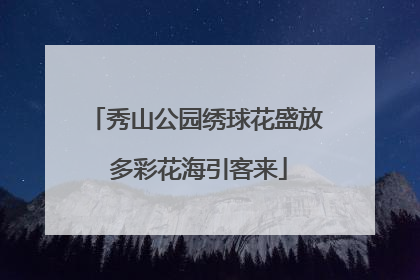 秀山公园绣球花盛放 多彩花海引客来