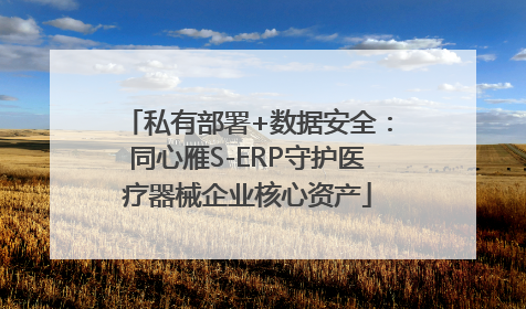 私有部署+数据安全：同心雁S-ERP守护医疗器械企业核心资产