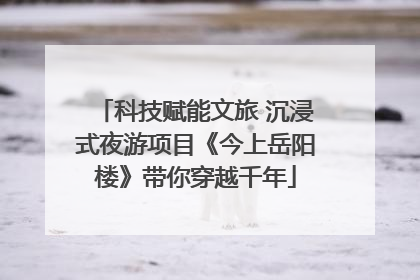 科技赋能文旅 沉浸式夜游项目《今上岳阳楼》带你穿越千年