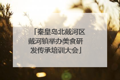 秦皇岛北戴河区戴河镇举办美食研发传承培训大会