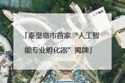 秦皇岛市首家“人工智能专业孵化器”揭牌