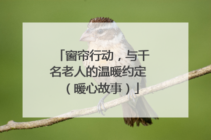 窗帘行动，与千名老人的温暖约定（暖心故事）