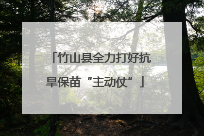 竹山县全力打好抗旱保苗“主动仗”