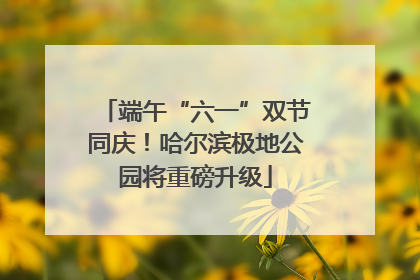 端午“六一”双节同庆！哈尔滨极地公园将重磅升级