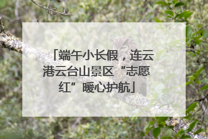 端午小长假，连云港云台山景区“志愿红”暖心护航