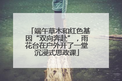 端午草木和红色基因“双向奔赴”，雨花台在户外开了一堂沉浸式思政课